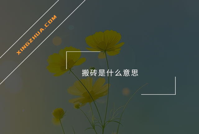 搬砖是什么意思？