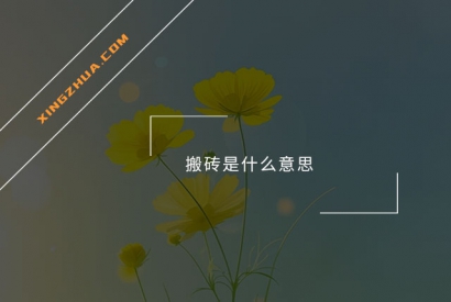 搬砖是什么意思？