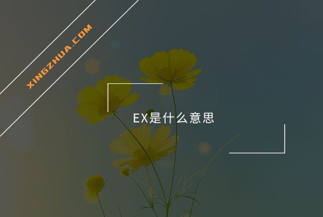 EX是什么意思？