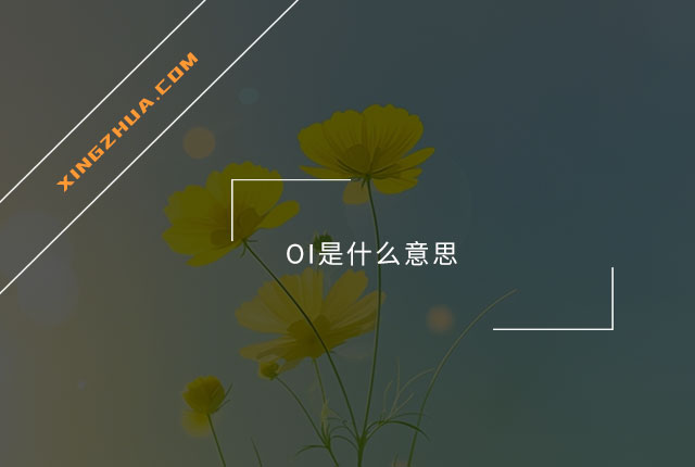 OI是什么意思？