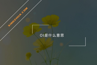 OI是什么意思？