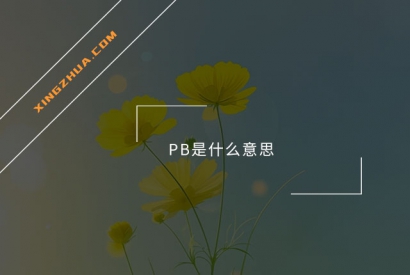 PB是什么意思？