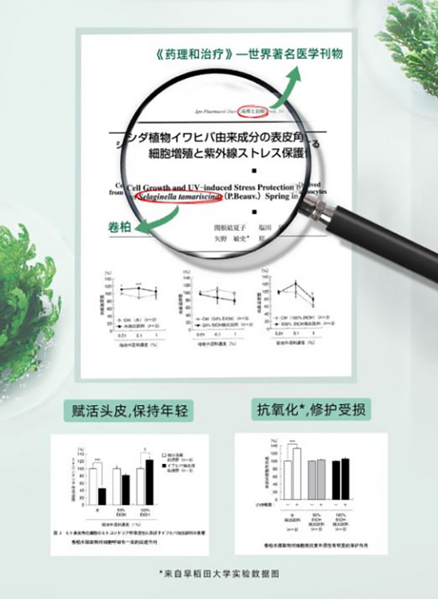 舒霖首创头皮三态平衡理念