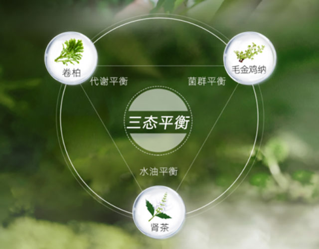 舒霖首创头皮三态平衡理念