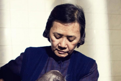 叶德娴个人资料简介