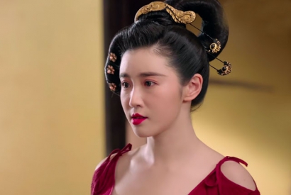 张辛苑个人资料简介