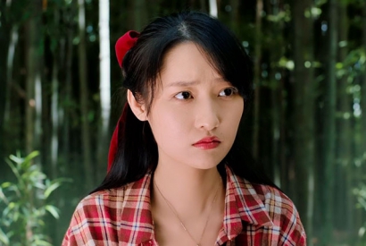 张星禾个人资料简介