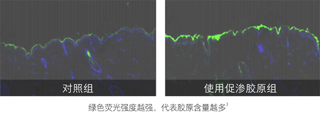 HFP巴掌面霜好用吗？
