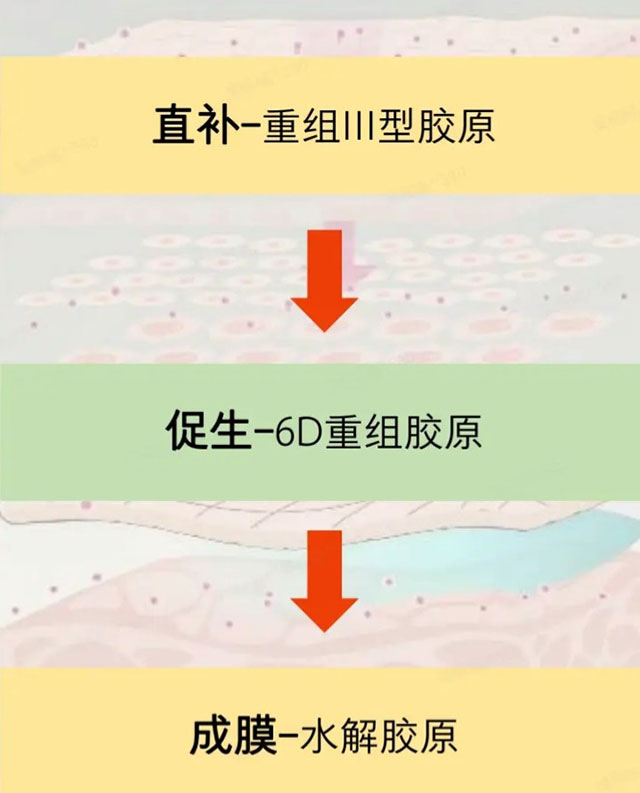 HFP紧致弹嫩精华液好用么？