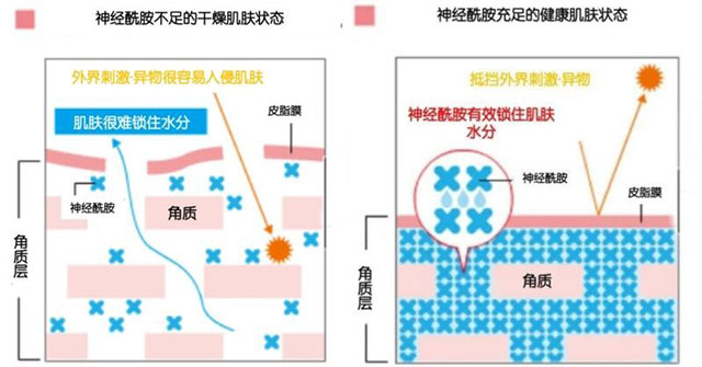HFP紧致弹嫩精华液好用么？