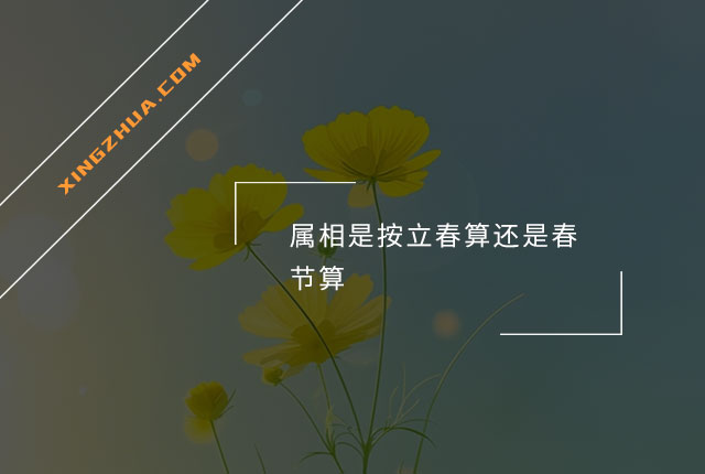 属相是按立春算还是春节算？